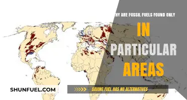 Why Fossil Fuels Are Concentrated in Specific Geographic Regions