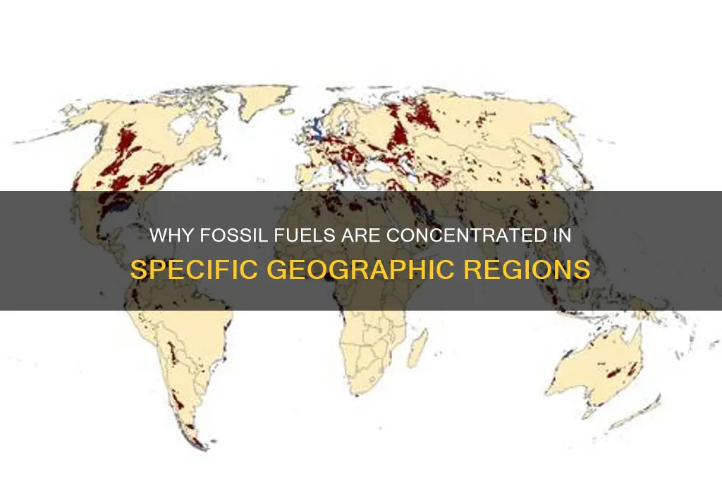 why are fossil fuels found only in particular areas