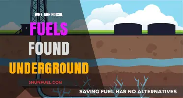 Why Fossil Fuels Lie Beneath: Uncovering Earth's Ancient Energy Secrets