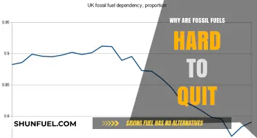 The Stubborn Grip: Why Fossil Fuels Resist Replacement in Energy