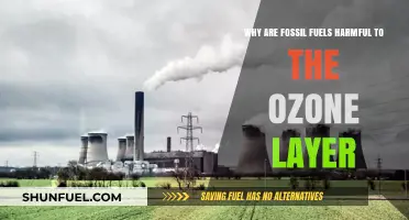 Fossil Fuels' Impact: How They Harm the Ozone Layer