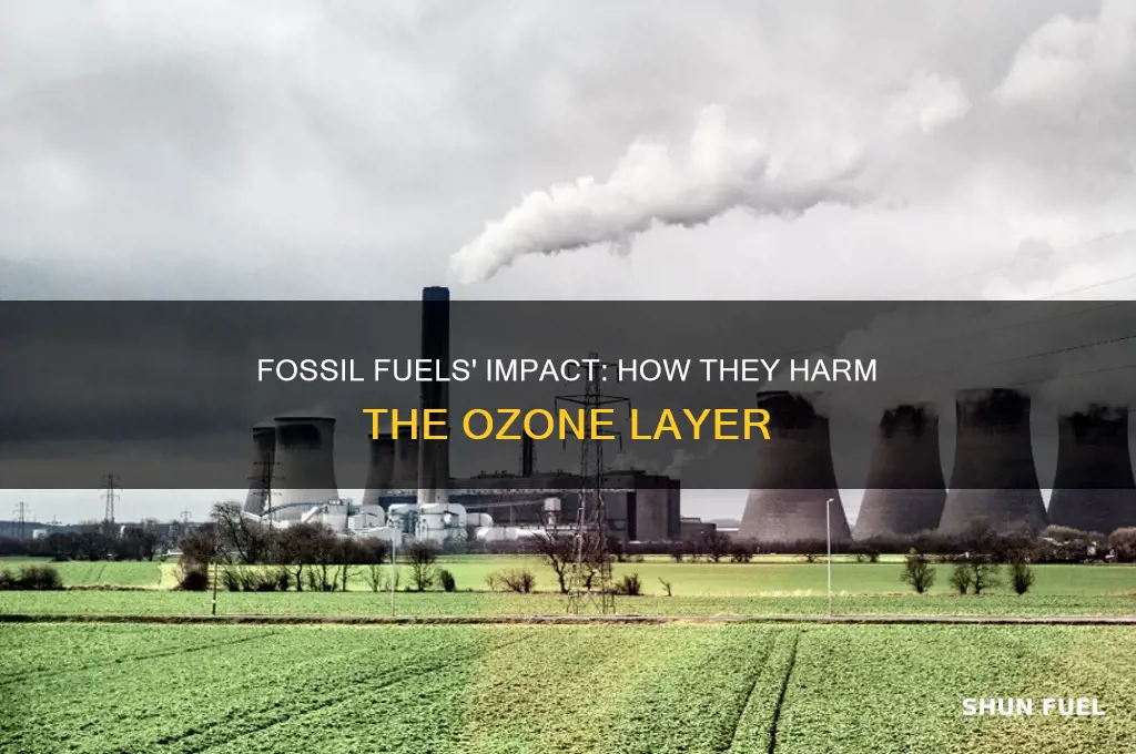 why are fossil fuels harmful to the ozone layer