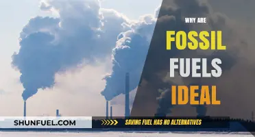 Fossil Fuels: The Ideal Energy Source for Modern Industrial Needs