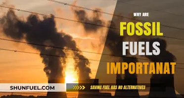 The Critical Role of Fossil Fuels in Modern Energy Systems
