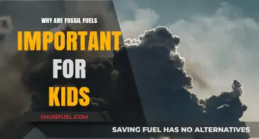 Fossil Fuels: Powering Our World and Shaping Kids' Future