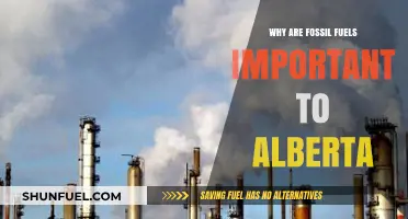 Alberta's Energy Backbone: The Crucial Role of Fossil Fuels