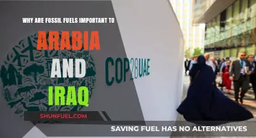 Fossil Fuels: Arabia and Iraq's Economic Lifeline and Global Impact