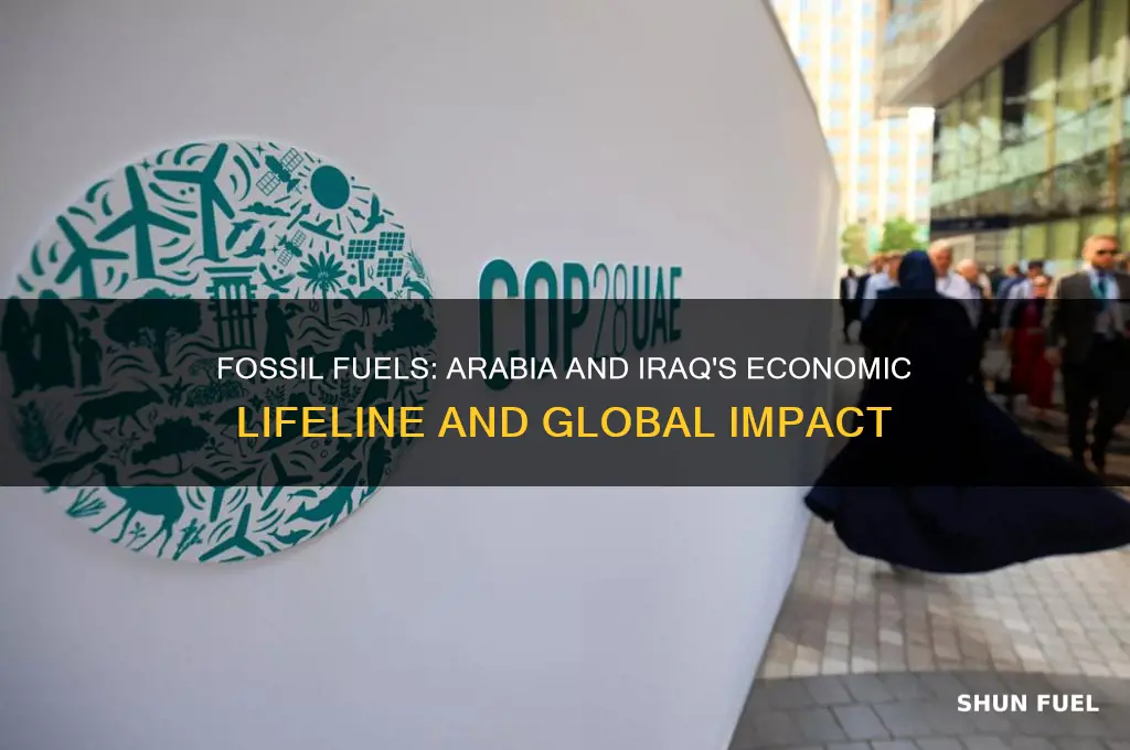 why are fossil fuels important to arabia and iraq