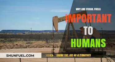 Fossil Fuels: Powering Human Progress, Industry, and Daily Life