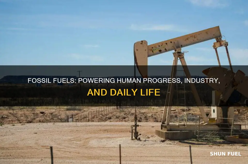 why are fossil fuels important to humans