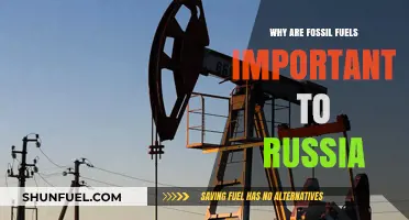 Russia's Energy Reliance: The Critical Role of Fossil Fuels Explained