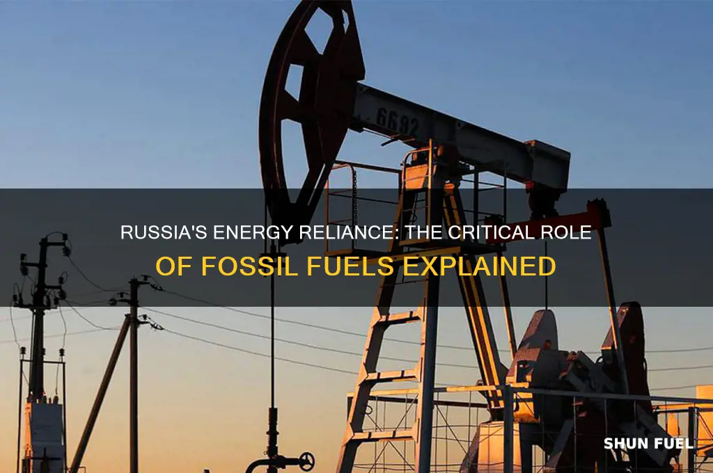 why are fossil fuels important to russia