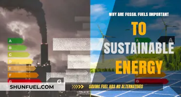 Fossil Fuels' Role in Transitioning to Sustainable Energy Solutions