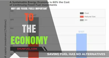 Fossil Fuels' Economic Impact: Powering Industries and Global Growth