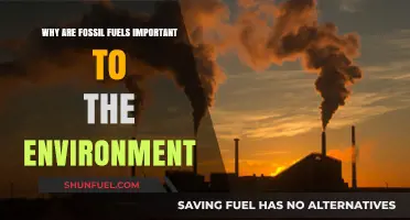 Fossil Fuels' Environmental Impact: Balancing Energy Needs and Ecological Consequences