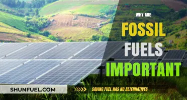 Fossil Fuels: Powering Our World, Pros and Cons