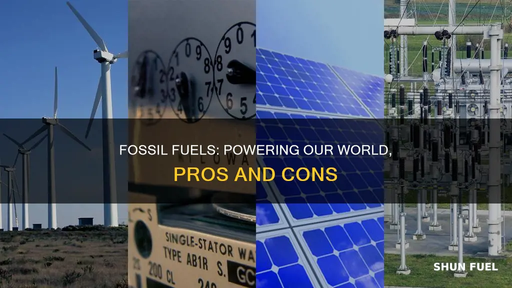 why are fossil fuels important