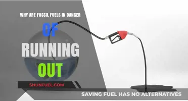 Fossil Fuels Depletion: The Looming Energy Crisis and Its Global Impact