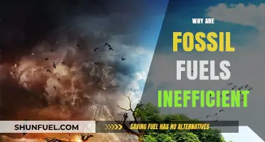 Fossil Fuels: The Inefficient Energy Source Draining Our Planet's Future