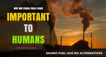 Fossil Fuels' Impact: Why Their Future Matters to Humanity
