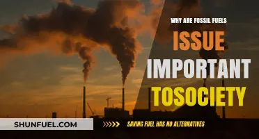 Fossil Fuels' Impact: Why Their Role Matters to Society's Future