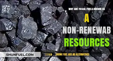 Fossil Fuels: Understanding Their Non-Renewable Nature and Limitations