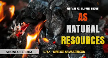 Fossil Fuels: Understanding Their Classification as Natural Resources