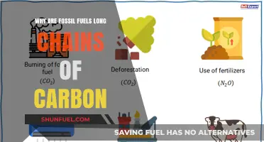 Why Fossil Fuels Are Long Carbon Chains: A Scientific Explanation