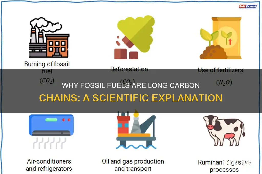 why are fossil fuels long chains of carbon