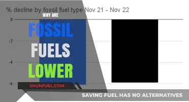 Declining Fossil Fuels: Causes, Impacts, and the Shift to Renewables