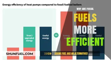 Why Fossil Fuels Remain the Most Efficient Energy Source Today