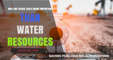 Fossil Fuels vs. Water: The Critical Importance of Energy Resources