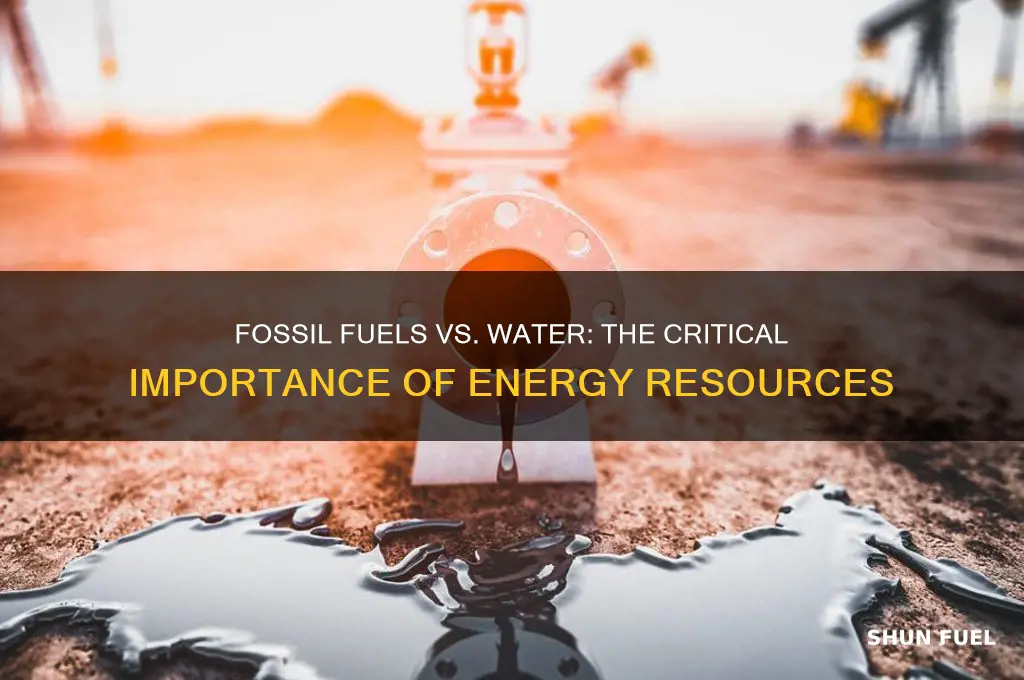 why are fossil fuels more important than water resources