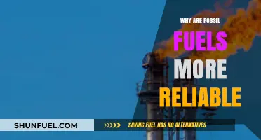 Fossil Fuels: Unmatched Reliability in Energy Supply and Demand