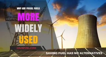 Why Fossil Fuels Dominate: Exploring Their Widespread Energy Use