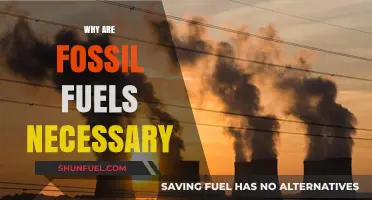 Why Fossil Fuels Remain Essential for Global Energy Needs