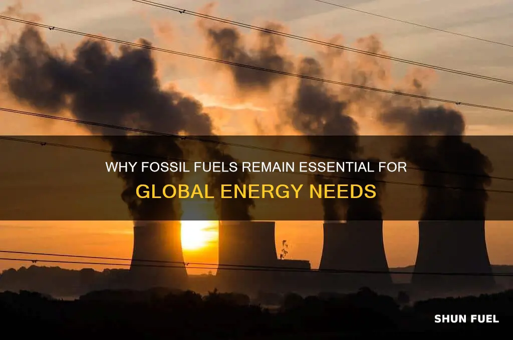 why are fossil fuels necessary