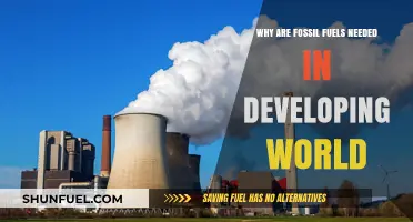 Fossil Fuels: Essential Energy Drivers for Developing Nations' Growth
