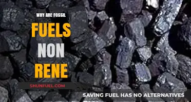 Why Fossil Fuels Are Non-Renewable: Understanding Their Finite Nature