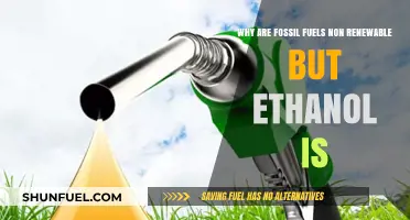 Fossil Fuels vs. Ethanol: Understanding Renewable Energy Differences