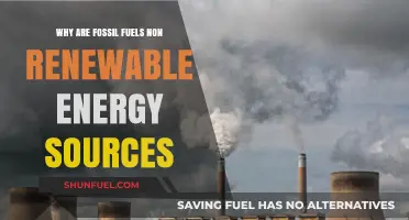 Fossil Fuels: Finite Energy Sources