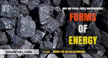 Fossil Fuels: Understanding Their Finite Nature and Non-Renewable Status