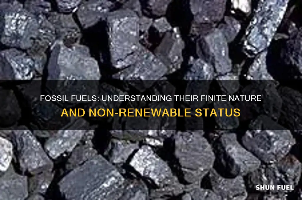 why are fossil fuels non renewable forms of energy