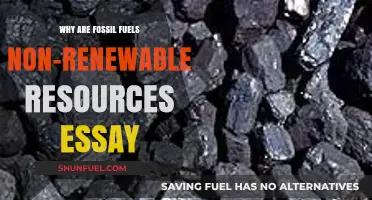 Fossil Fuels: Understanding Their Non-Renewable Nature and Environmental Impact