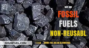 Fossil Fuels: Why They're Non-Renewable and Unsustainable Resources