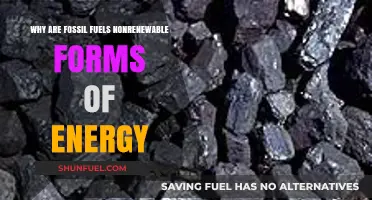 Fossil Fuels: Understanding Their Nonrenewable Nature and Energy Limitations