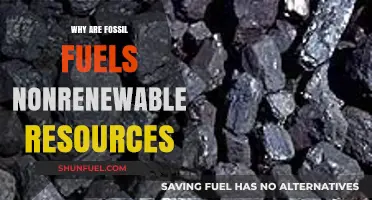 Fossil Fuels: Understanding Their Nonrenewable Nature and Environmental Impact