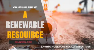 Fossil Fuels: Finite Resources and Their Unsustainable Future Explained