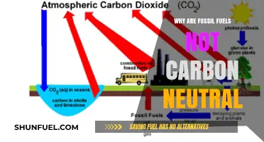 Fossil Fuels and Carbon Neutrality: Unraveling the Environmental Mismatch