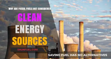 Fossil Fuels: Why They're Not Clean Energy Sources and Alternatives